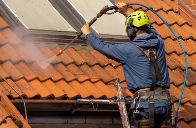 Démoussage et hydrofuge de toiture à Chaleins